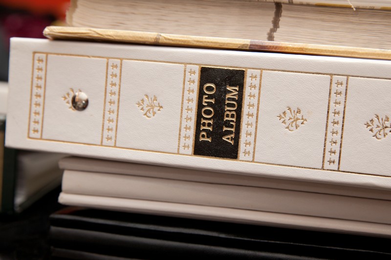 Multi Size album8x10,5x7,4x7,panoramic Album Art & Accessories