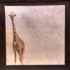 12 x 12 sb paper safari giraffes